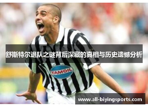 舒斯特尔退队之谜背后深藏的真相与历史遗憾分析